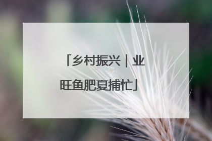 乡村振兴｜业旺鱼肥夏捕忙