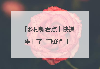 乡村新看点丨快递坐上了“飞的”