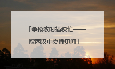 争抢农时插秧忙——陕西汉中夏播见闻