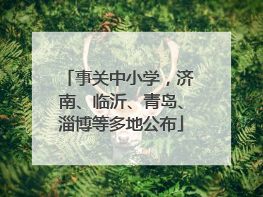 事关中小学，济南、临沂、青岛、淄博等多地公布