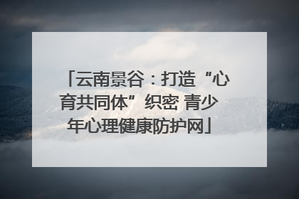云南景谷：打造“心育共同体”织密 青少年心理健康防护网