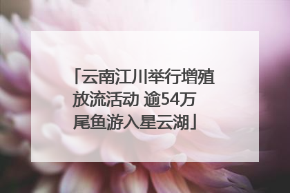 云南江川举行增殖放流活动 逾54万尾鱼游入星云湖