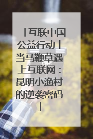互联中国公益行动丨当马鞭草遇上互联网：昆明小渔村的逆袭密码