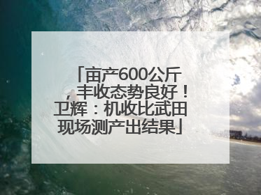 亩产600公斤，丰收态势良好！卫辉：机收比武田现场测产出结果