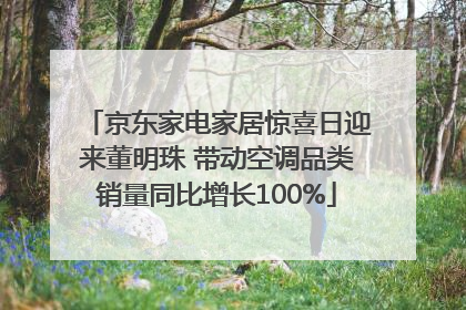 京东家电家居惊喜日迎来董明珠 带动空调品类销量同比增长100%