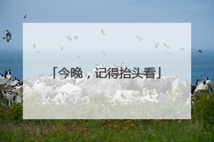 今晚，记得抬头看