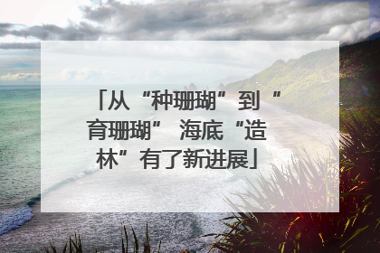 从“种珊瑚”到“育珊瑚” 海底“造林”有了新进展