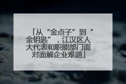 从“金点子”到“金钥匙”，江汉区人大代表和职能部门面对面解企业难题