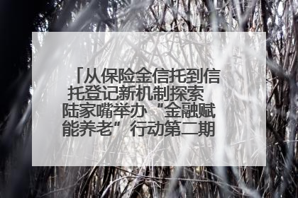 从保险金信托到信托登记新机制探索 陆家嘴举办“金融赋能养老”行动第二期行业交流会