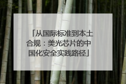 从国际标准到本土合规：美光芯片的中国化安全实践路径