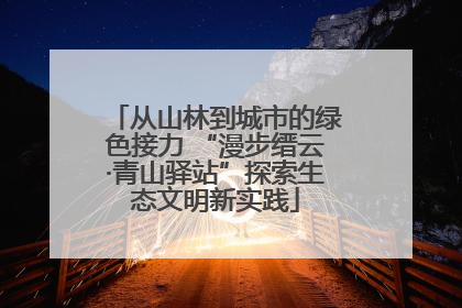 从山林到城市的绿色接力 “漫步缙云·青山驿站”探索生态文明新实践