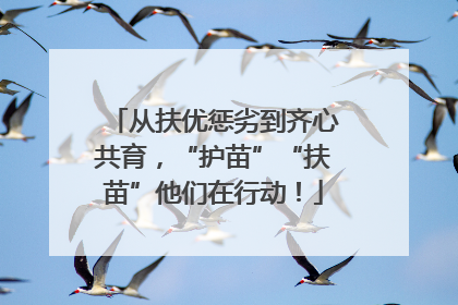 从扶优惩劣到齐心共育，“护苗”“扶苗”他们在行动！