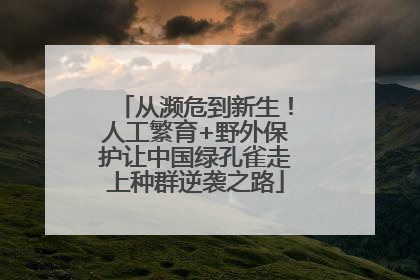 从濒危到新生！人工繁育+野外保护让中国绿孔雀走上种群逆袭之路