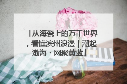 从海瓷上的万千世界，看懂滨州浪漫｜潮起渤海・网聚黄蓝