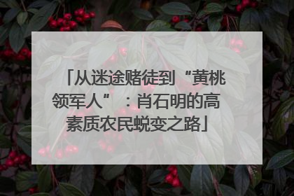 从迷途赌徒到“黄桃领军人”：肖石明的高素质农民蜕变之路