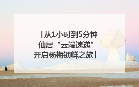 从1小时到5分钟 仙居“云端速递”开启杨梅锁鲜之旅