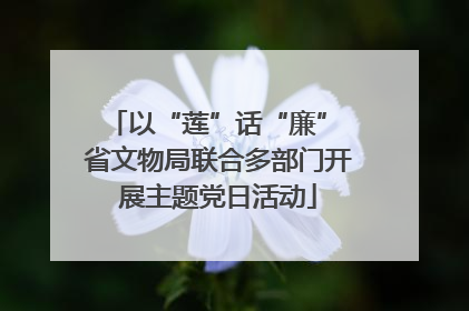 以“莲”话“廉” 省文物局联合多部门开展主题党日活动