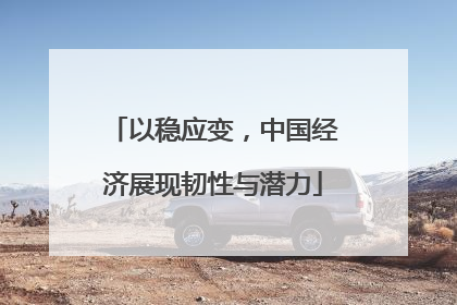 以稳应变，中国经济展现韧性与潜力