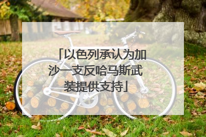 以色列承认为加沙一支反哈马斯武装提供支持
