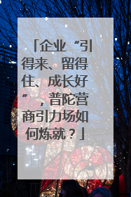 企业“引得来、留得住、成长好”，普陀营商引力场如何炼就？
