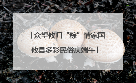 众望攸归“粽”情家国 攸县多彩民俗庆端午