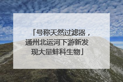 号称天然过滤器，通州北运河下游新发现大量蚌科生物
