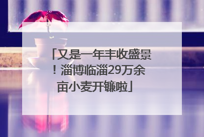 又是一年丰收盛景！淄博临淄29万余亩小麦开镰啦
