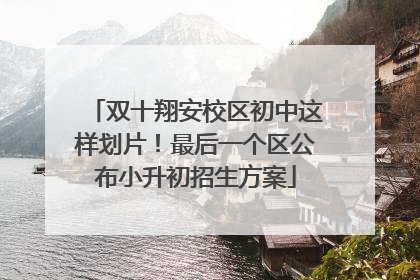 双十翔安校区初中这样划片！最后一个区公布小升初招生方案