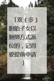 双（多）胞胎子女以捆绑方式派位的，记得要提前申请