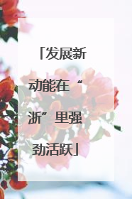 发展新动能在“浙”里强劲活跃