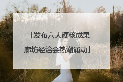 发布六大硬核成果 廊坊经洽会热潮涌动