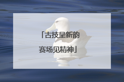 古技呈新韵 赛场见精神