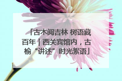 古木阅吉林 树语藏百年｜西关宾馆内，古榆“讲述”时光絮语