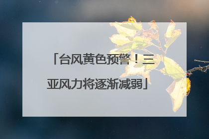 台风黄色预警！三亚风力将逐渐减弱