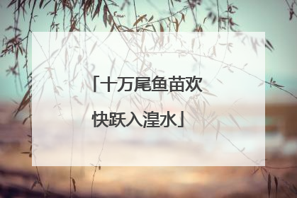 十万尾鱼苗欢快跃入湟水