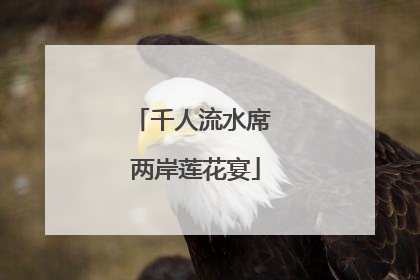 千人流水席 两岸莲花宴