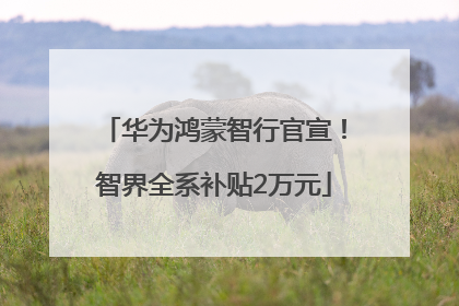 华为鸿蒙智行官宣！智界全系补贴2万元