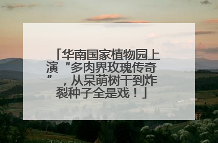 华南国家植物园上演“多肉界玫瑰传奇”，从呆萌树干到炸裂种子全是戏！