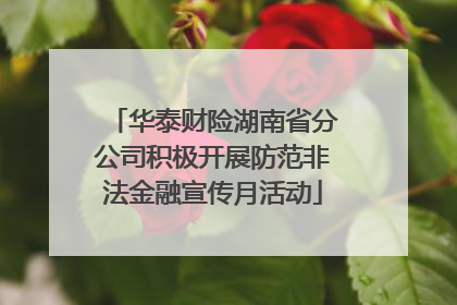 华泰财险湖南省分公司积极开展防范非法金融宣传月活动