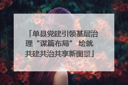 单县党建引领基层治理“谋篇布局” 绘就共建共治共享新图景