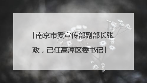 南京市委宣传部副部长张政，已任高淳区委书记