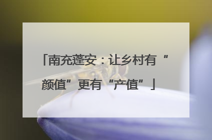 南充蓬安：让乡村有“颜值”更有“产值”