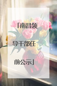 南昌领导干部任前公示