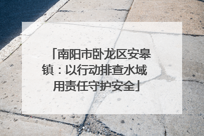 南阳市卧龙区安皋镇：以行动排查水域 用责任守护安全
