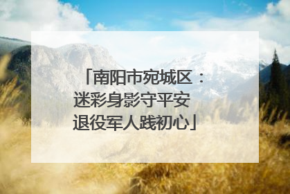 南阳市宛城区：迷彩身影守平安 退役军人践初心
