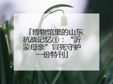 博物馆里的山东抗战记忆①：“沂蒙母亲”冒死守护一份特刊