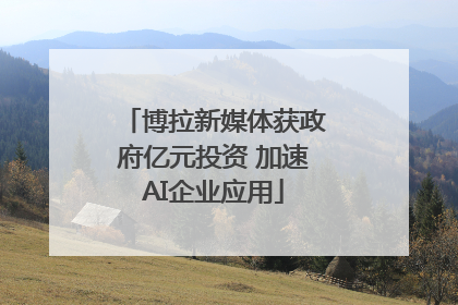 博拉新媒体获政府亿元投资 加速AI企业应用