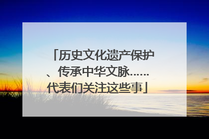 历史文化遗产保护、传承中华文脉……代表们关注这些事