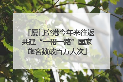 厦门空港今年来往返共建“一带一路”国家旅客数破百万人次