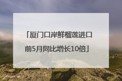 厦门口岸鲜榴莲进口 前5月同比增长10倍